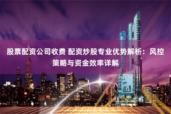 股票配资公司收费 配资炒股专业优势解析:风控策略与资金效率详解