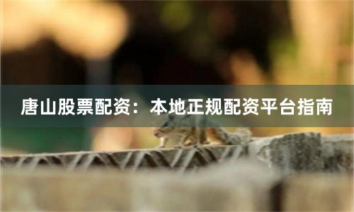 唐山股票配资：本地正规配资平台指南